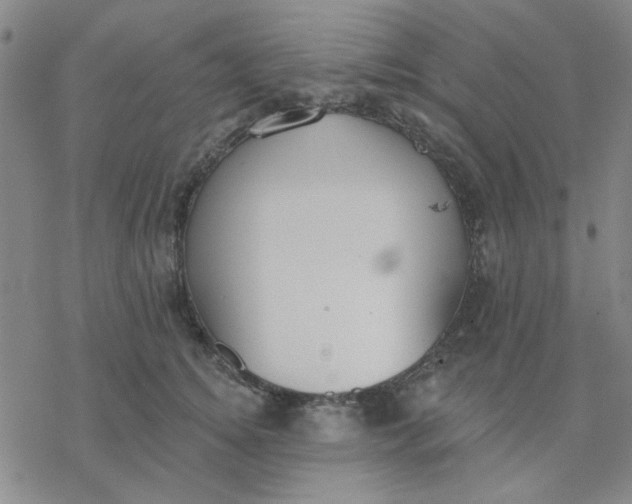 X0000076400756200610271618