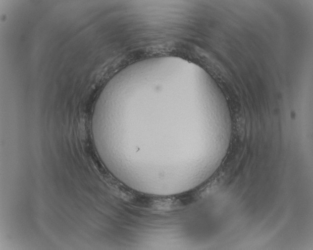 X0000076400757200610271618