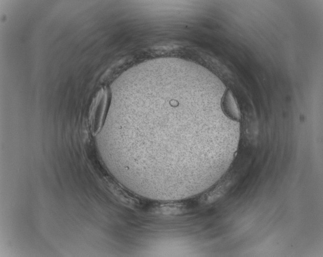 X0000076400758200610271618