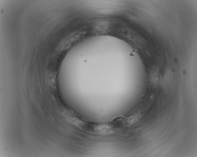 X0000076400759200610271618