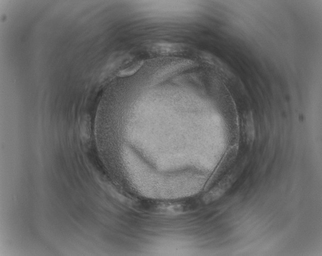 X0000076400760200610271618