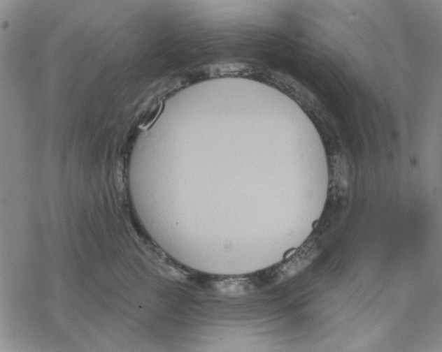 X0000076400761200610271618