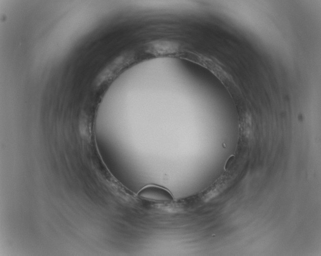 X0000076400763200610271618