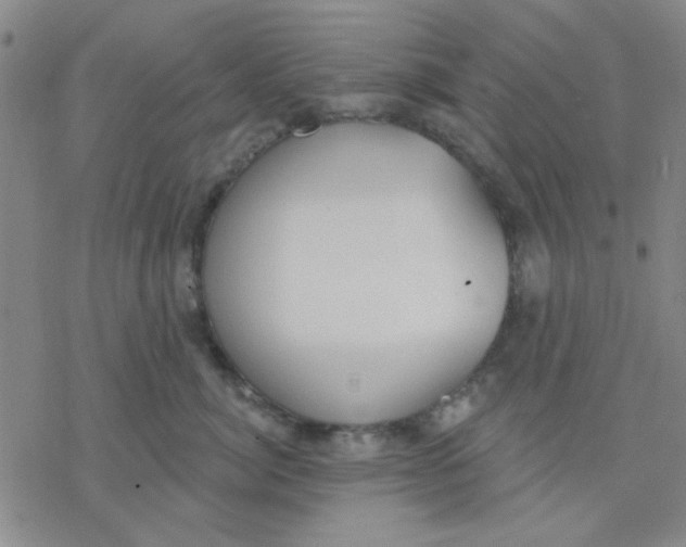 X0000076400764200610271618