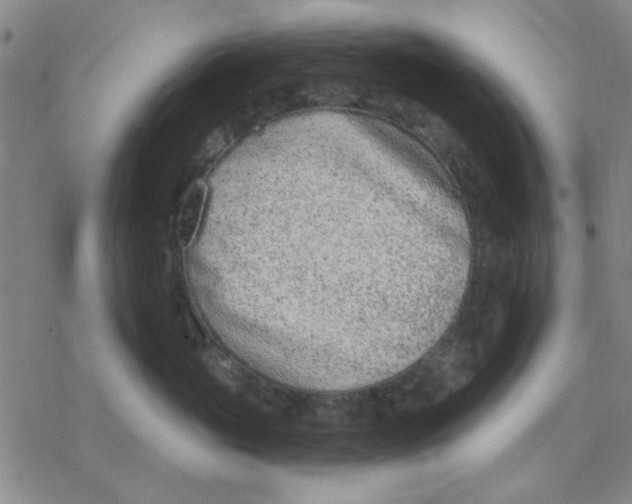 X0000076400765200610271618