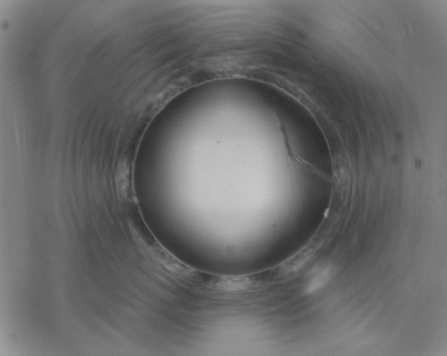 X0000076400767200610271618