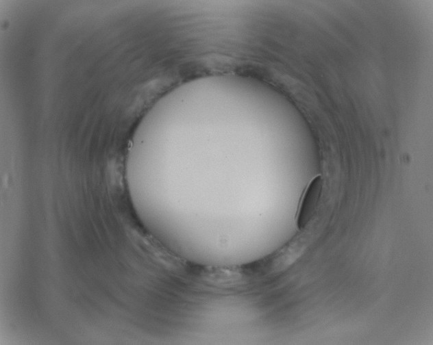 X0000076400768200610271618