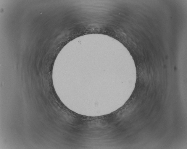 X0000076400769200610271617