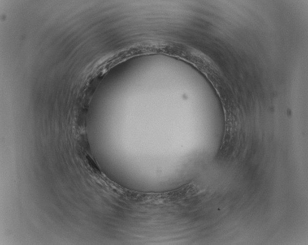 X0000076400773200610271617