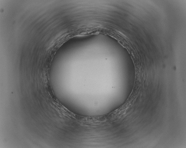 X0000076400774200610271617