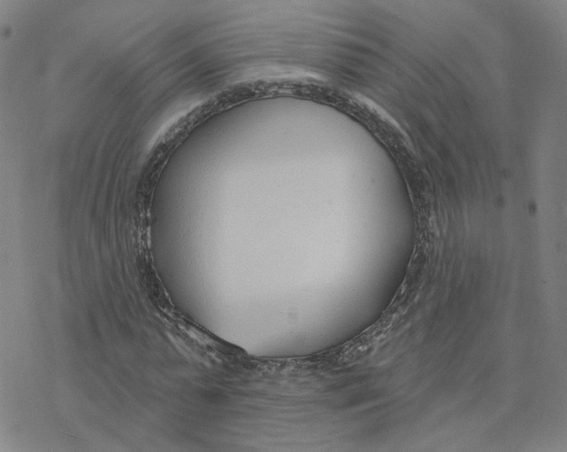 X0000076400775200610271617