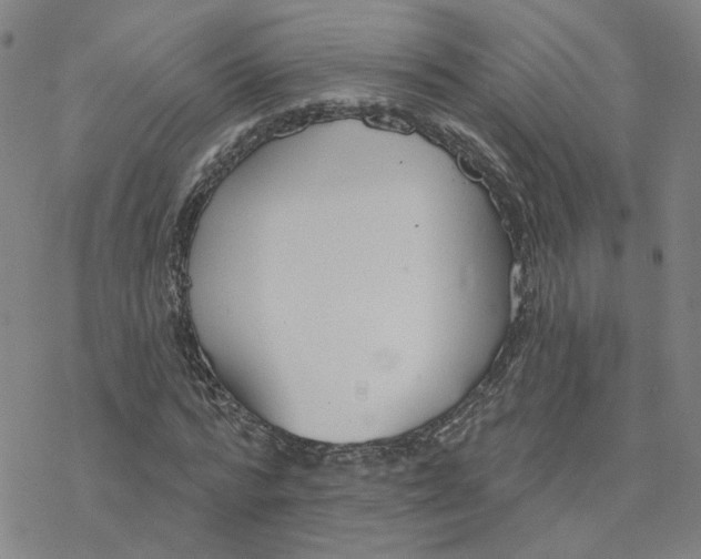 X0000076400776200610271617