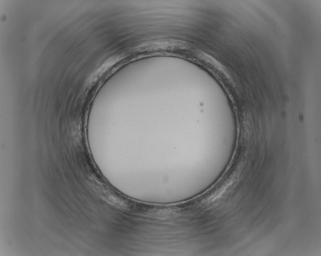 X0000076400778200610271617