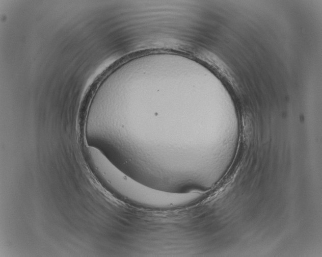 X0000076400780200610271617