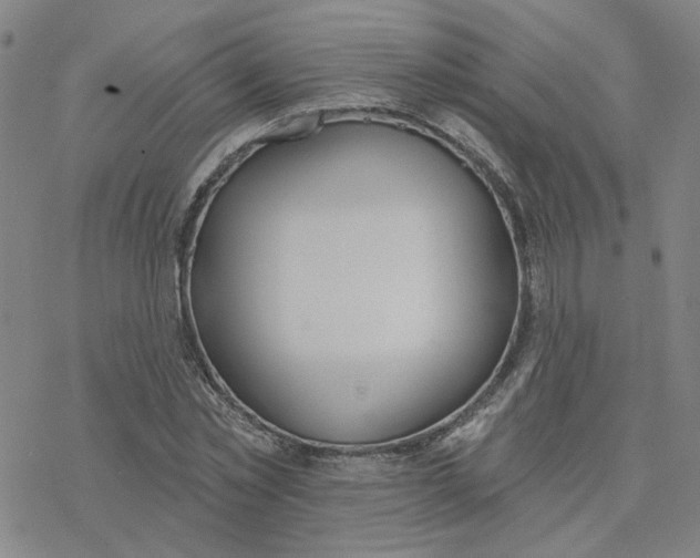 X0000076400781200610271617