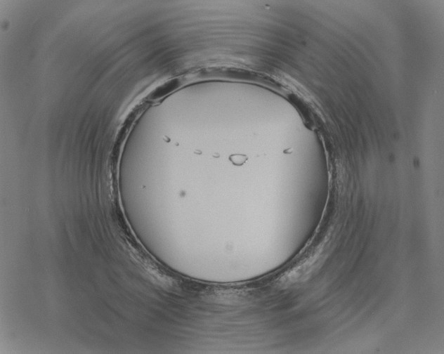 X0000076400782200610271617