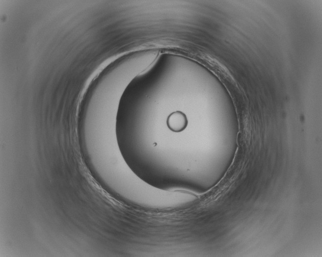 X0000076400784200610271617