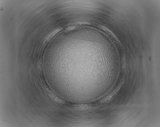 X0000076400785200610271617