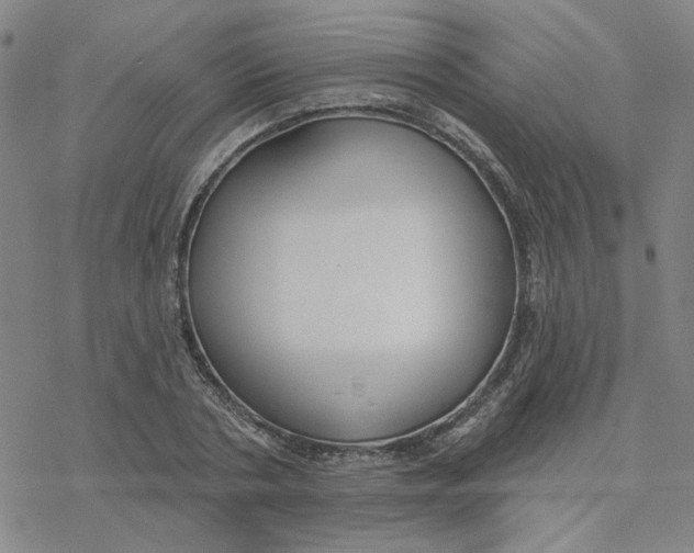 X0000076400786200610271617