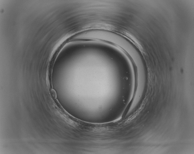 X0000076400788200610271617