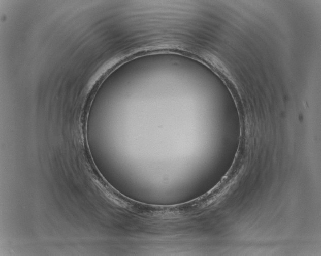 X0000076400789200610271617