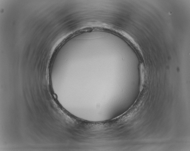 X0000076400791200610271617