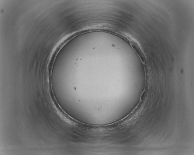 X0000076400792200610271617