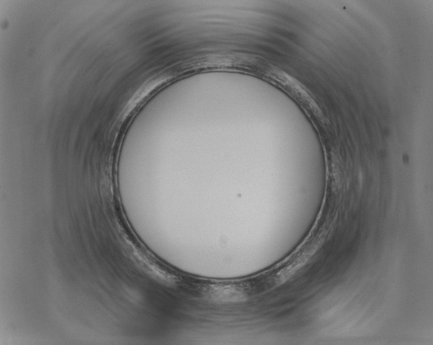 X0000076400794200610271617