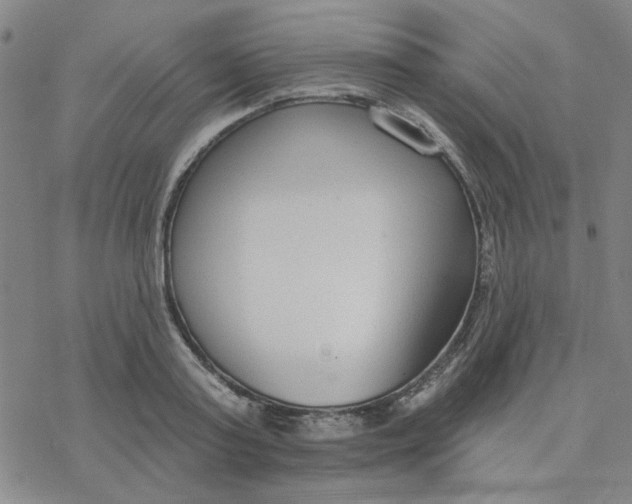 X0000076400795200610271617