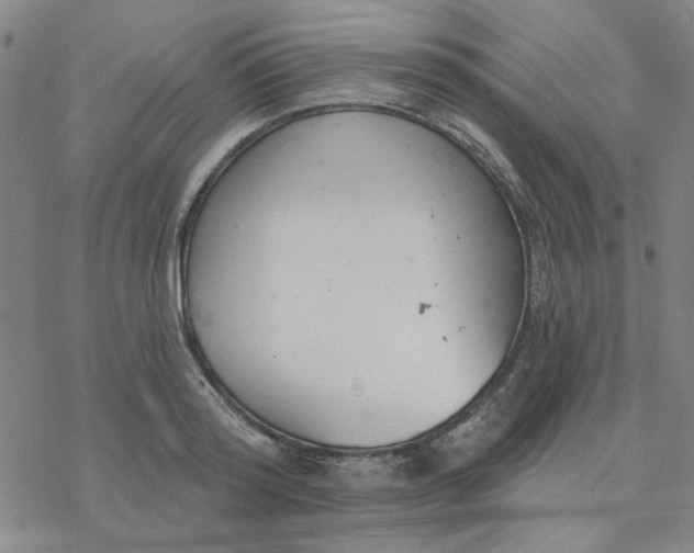 X0000076400796200610271617