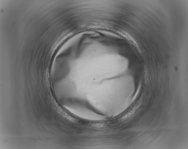 X0000076400798200610271617