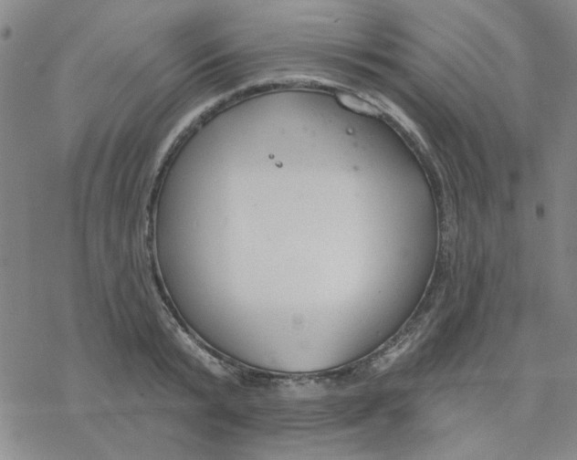 X0000076400799200610271617