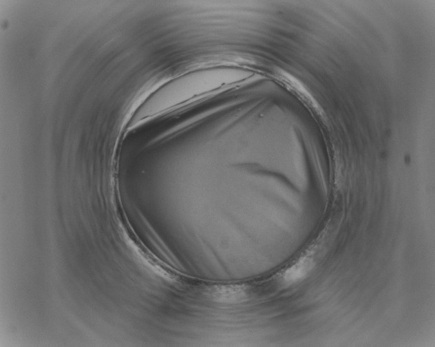 X0000076400802200610271616