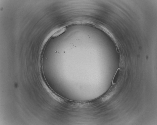 X0000076400803200610271616