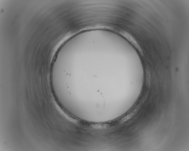 X0000076400805200610271616