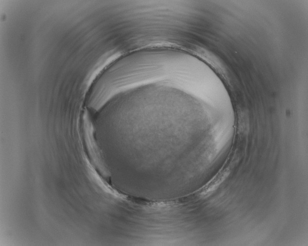 X0000076400806200610271616