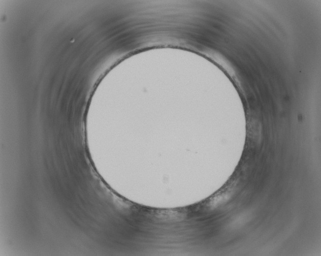 X0000076400807200610271616