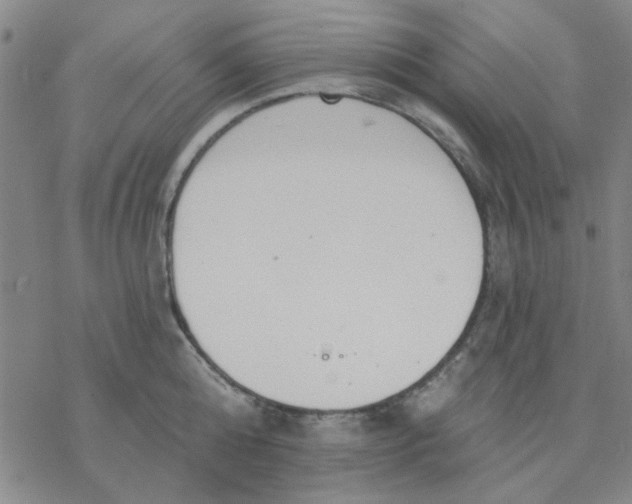 X0000076400808200610271616