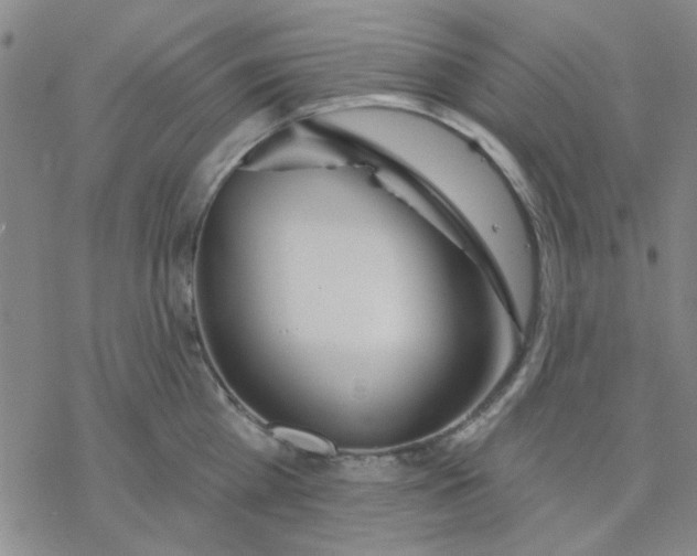 X0000076400809200610271616