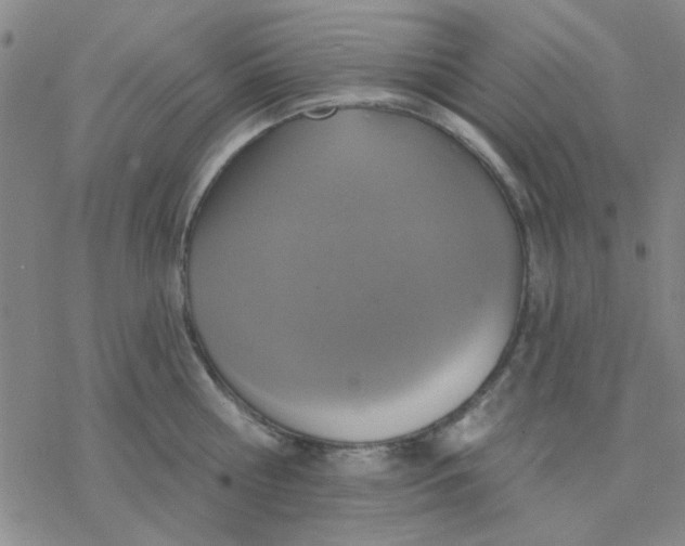 X0000076400810200610271616