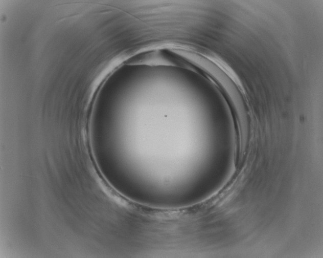 X0000076400813200610271616