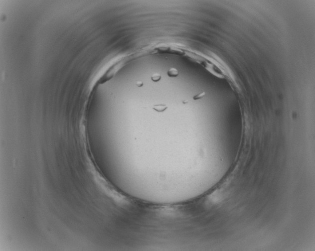 X0000076400814200610271616