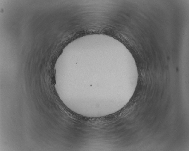 X0000076400817200610271615