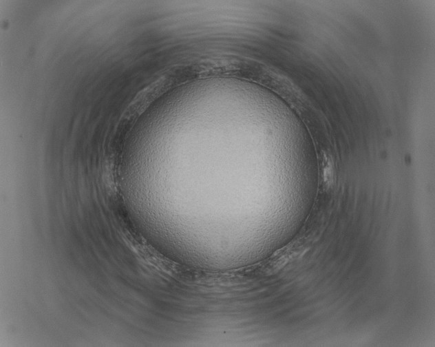 X0000076400819200610271615