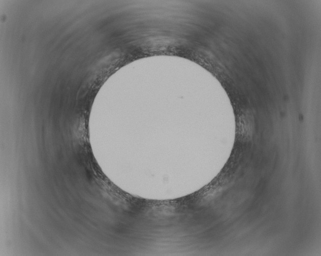 X0000076400820200610271615