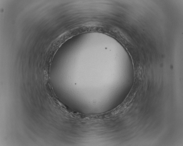 X0000076400821200610271616