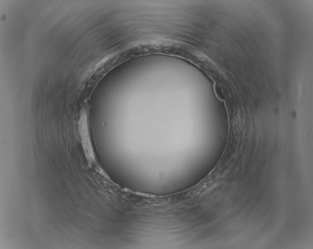 X0000076400822200610271616