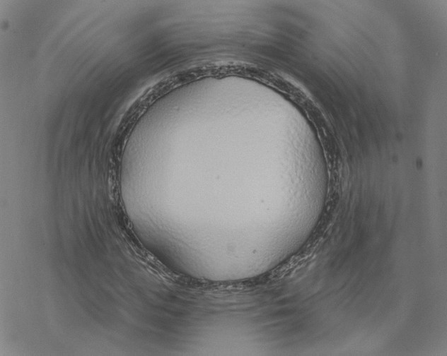 X0000076400823200610271616