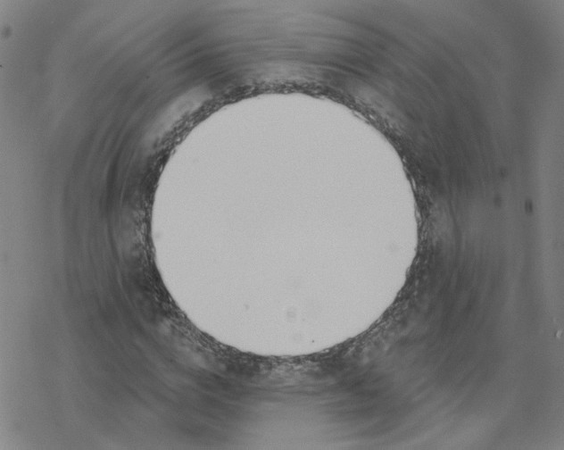 X0000076400824200610271616