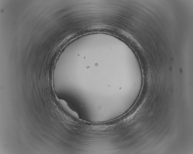 X0000076400825200610271616